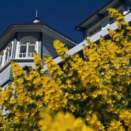 Penzion Modry Pavilon Dolní Malá Úpa Eksteriør billede