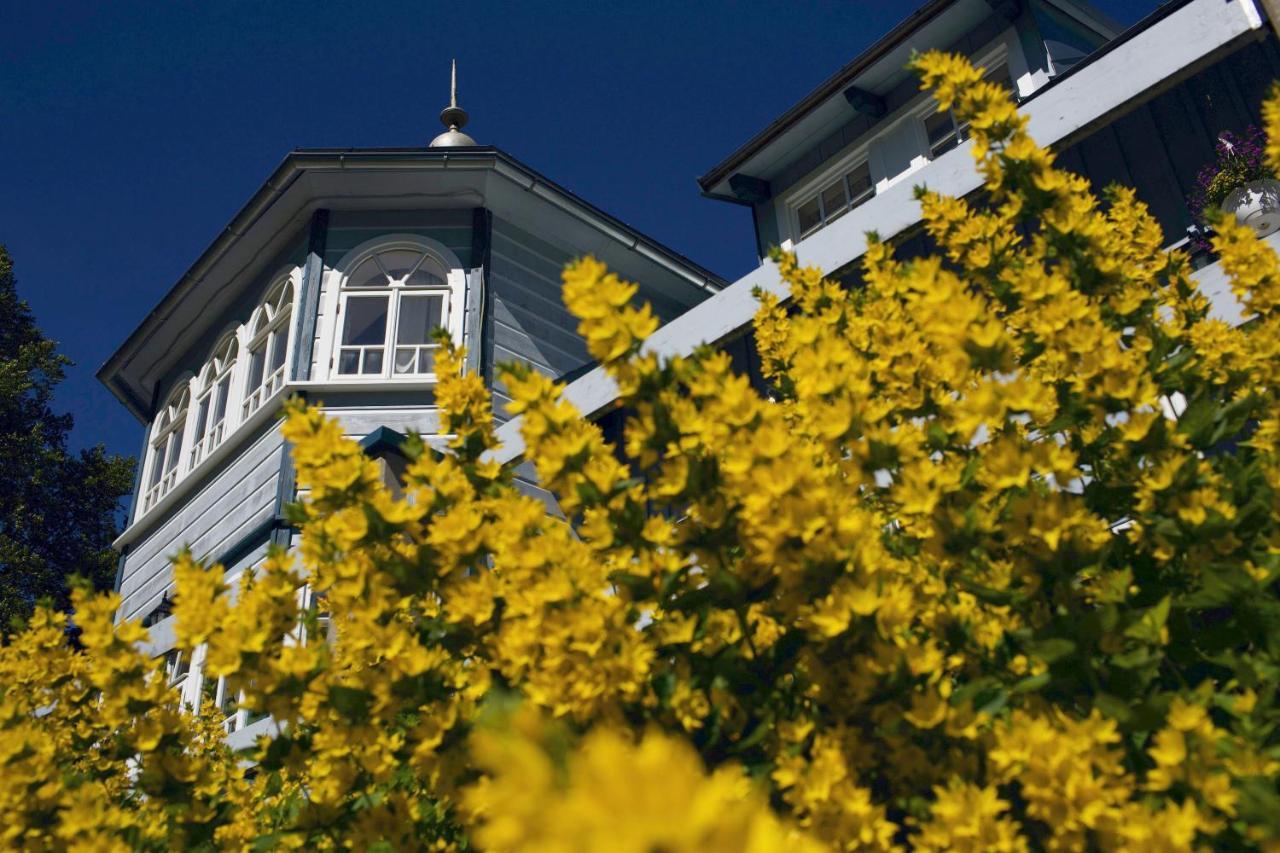 Penzion Modry Pavilon Dolní Malá Úpa Eksteriør billede